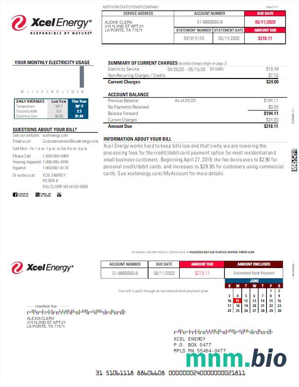 USA Xcel ENERGY rachunek za media Word i szablon PDF